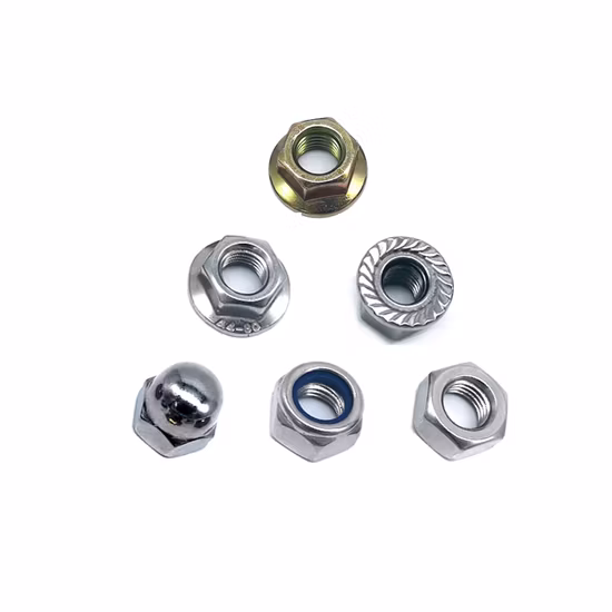 Stainless Steel Hex Bolt Nut