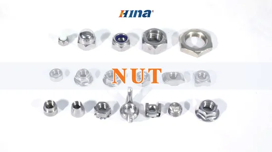 Stainless Steel Hex Bolt Nut
