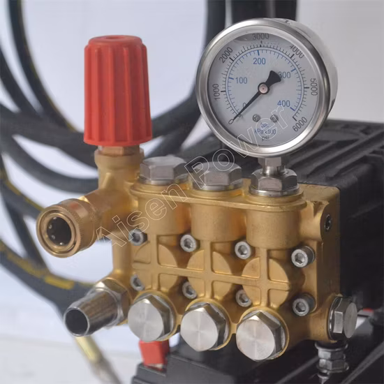 Custom High Pressure Gasoline Power Washer for Agricultural Cleaning