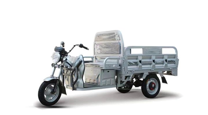 Lithium Battery Comfortable Aluminium Alloy Carrier Goods, Electric Tricycle, Electric Cargo Motorcycle, E Tricycle