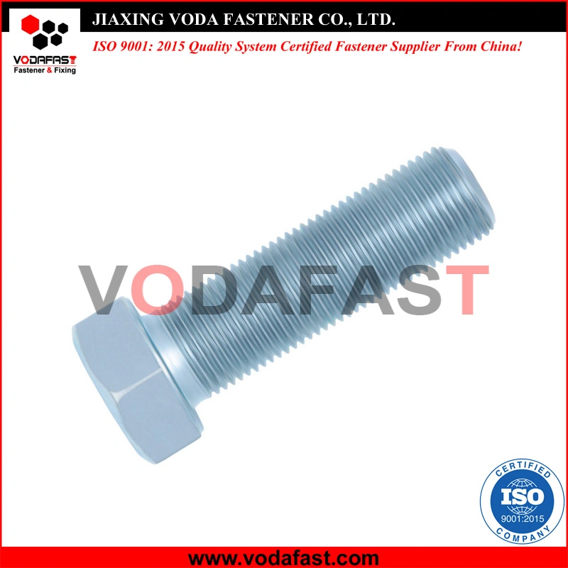 Carbon Steel Stainless Steel Hex Bolts Flange Bolts Square Bolts Carriage Bolts Plow Bolts Elevator Bolts