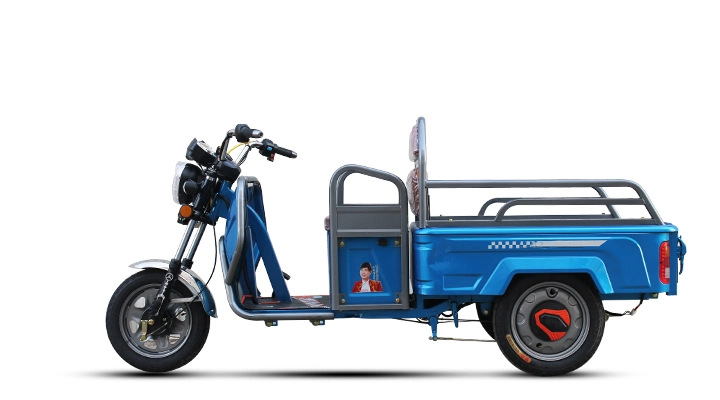 Electric Tricycle with Fully Enclosed Carriage Auxility Green Energy Battery Rugged Aluminum Alloy Body Electric Cargo Tricyclle