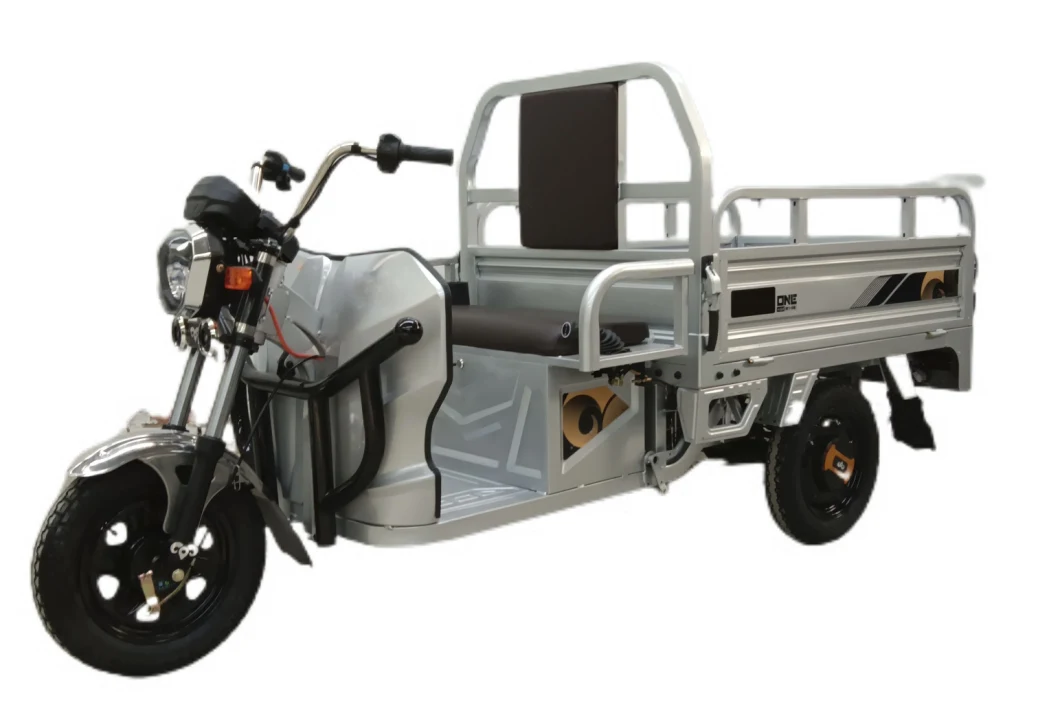 High Security Solid Electric Tricycle for Farm Transportation Good Design 1000W Motor Electric Cargo Tricycle