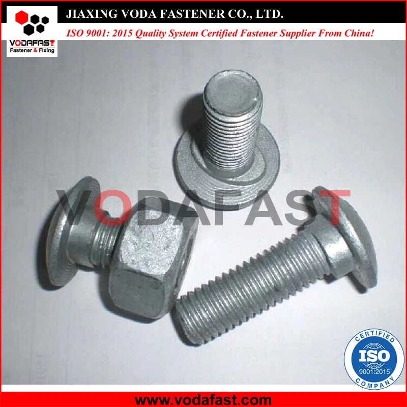 Carbon Steel Stainless Steel Hex Bolts Flange Bolts Square Bolts Carriage Bolts Plow Bolts Elevator Bolts