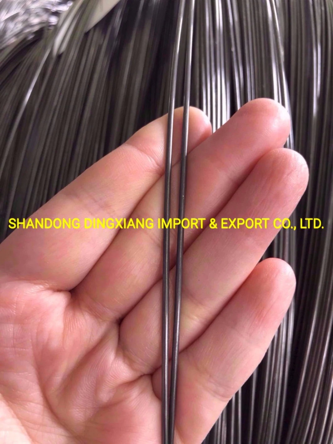 Low Price 1.2-5.0mm High Carbon Spring Steel Wire for Mattress