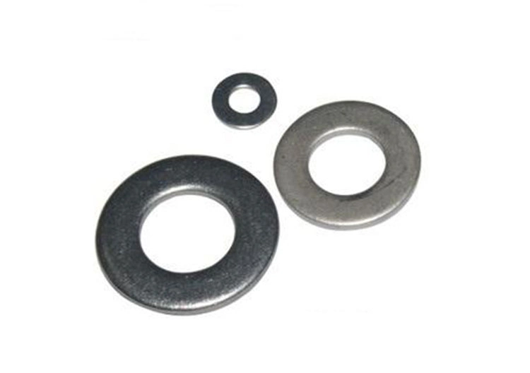 Fastener Factory DIN125 DIN126carbon Steel Washers Zp HDG Spring Washer/Flat Washer/Square Washers / Toothed Washers