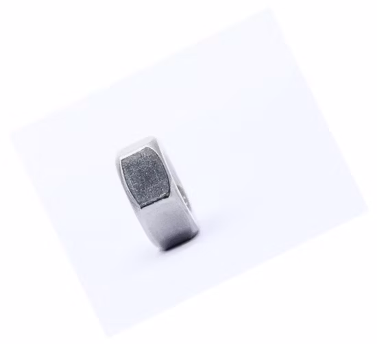 Stainless Steel SS304 SS316 Hex Nut (DIN934)