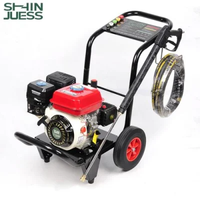 Custom High Pressure Gasoline Power Washer for Agricultural Cleaning