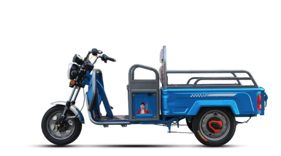 Green Energy Battery Heavy Loading Cargo Tricycle Three Wheeled Motorcycle Diesel Powered Cargo Tricycle at Myanmar with Powerful Engine
