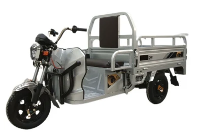 2023 Newest Simple and Atmospheric Appearance Electric Trikes 1000W Motor 60V45ah Battery Electric Tricycle