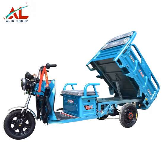 Manufacturers Direct Sales of Battery-Powered E Cargo Outdoor Durable Electric Cargo