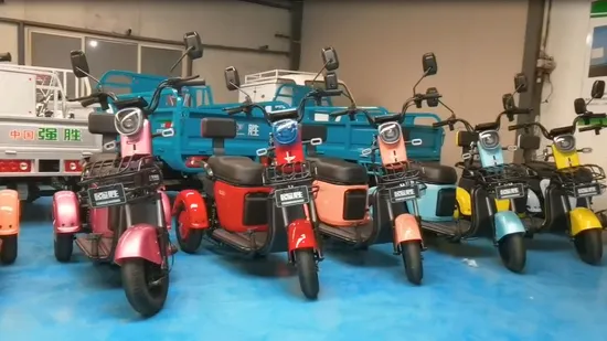 China Sale Cheap Scooter Good Carrying Lithium-Ion Battery Transport Tricycle Big Capacity Motor Electric Trike for Adults